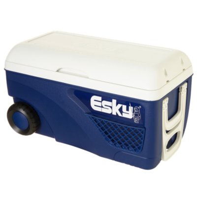 Small esky on store wheels